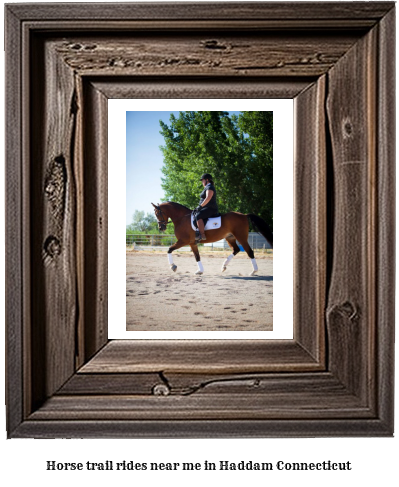 horse trail rides near me in Haddam, Connecticut